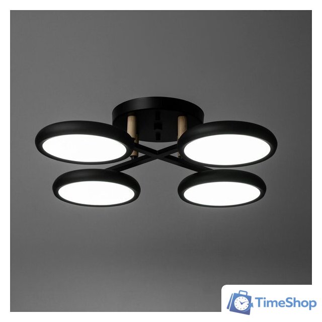 Подвесная люстра BayerLux Алис 10059022 (черный) - Изображение №5 — Интернет-магазин Time-Shop