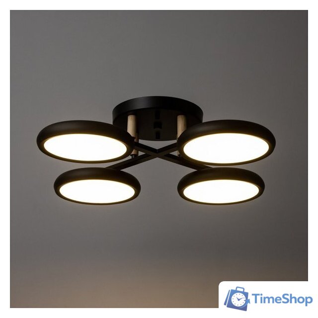 Подвесная люстра BayerLux Алис 10059022 (черный) - Изображение №3 — Интернет-магазин Time-Shop