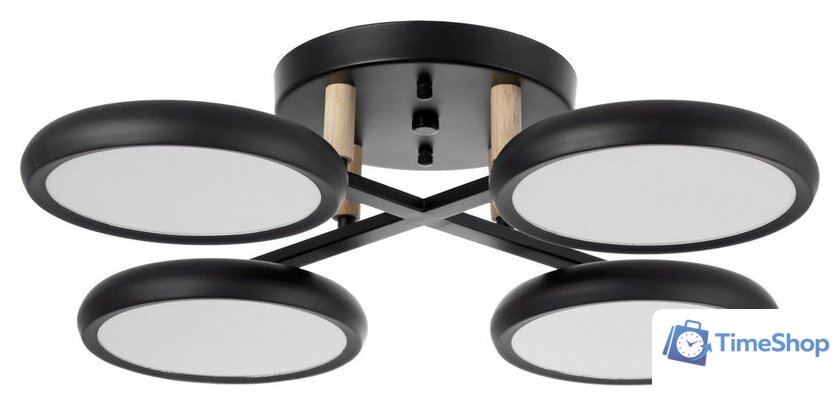 Подвесная люстра BayerLux Алис 10059022 (черный) - Изображение №1 — Интернет-магазин Time-Shop