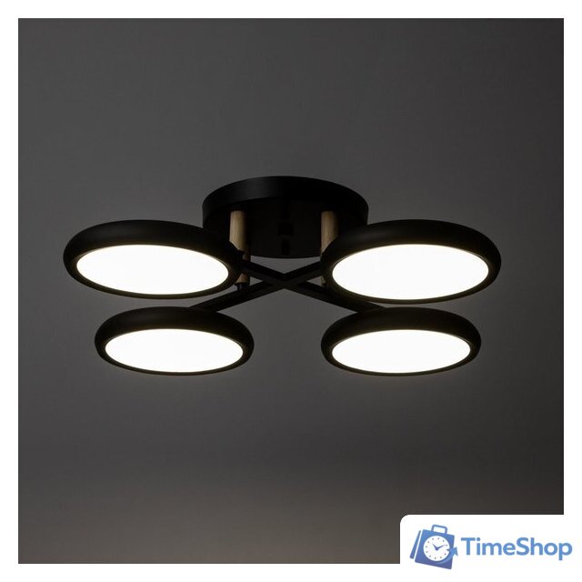 Подвесная люстра BayerLux Алис 10059022 (черный) - Изображение №4 — Интернет-магазин Time-Shop