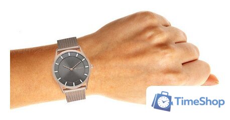 Наручные часы Skagen SKW2378 - Изображение №6 — Интернет-магазин Time-Shop