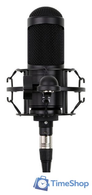 Проводной микрофон Radiotehnika MCD-01 - Изображение №1 — Интернет-магазин Time-Shop