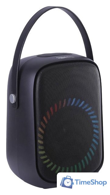 Беспроводная колонка Aiwa PAS-Y600 - Изображение №2 — Интернет-магазин Time-Shop