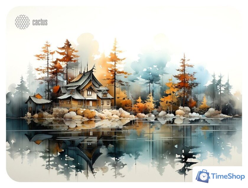 Коврик для мыши CACTUS CS-MP-PRO19XL - Изображение №1 — Интернет-магазин Time-Shop