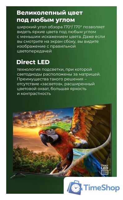 Телевизор MAUNFELD MLT43FSD02 - Изображение №6 — Интернет-магазин Time-Shop