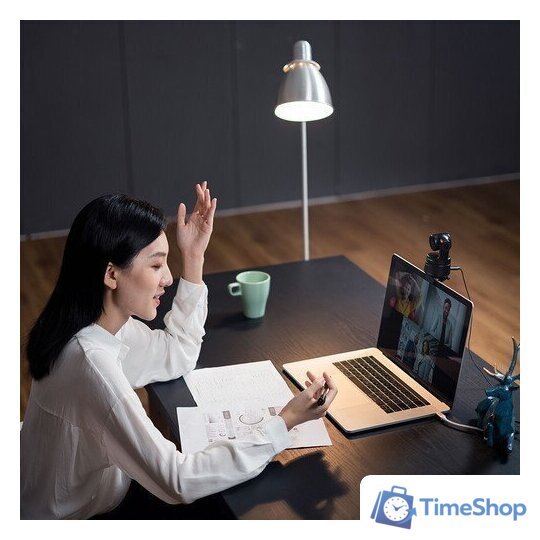 Веб-камера Obsbot Tiny - Изображение №6 — Интернет-магазин Time-Shop