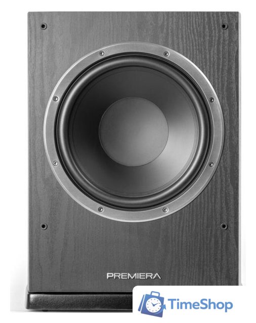 Проводной сабвуфер Premiera DS-10SA (черный) - Изображение №2 — Интернет-магазин Time-Shop