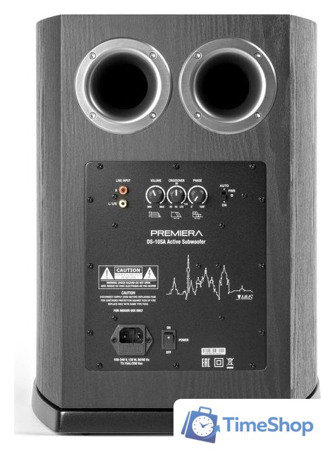 Проводной сабвуфер Premiera DS-10SA (черный) - Изображение №4 — Интернет-магазин Time-Shop