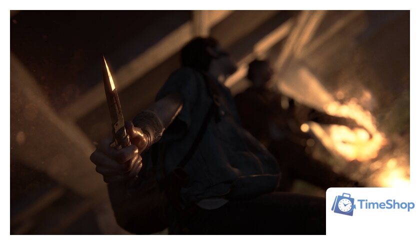  Одни из нас: Часть II для PlayStation 4 - Изображение №9 — Интернет-магазин Time-Shop