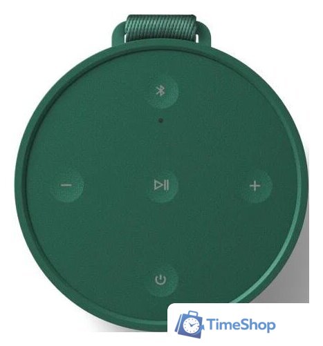 Беспроводная колонка Bang & Olufsen Beosound Explore (зеленый) - Изображение №4 — Интернет-магазин Time-Shop