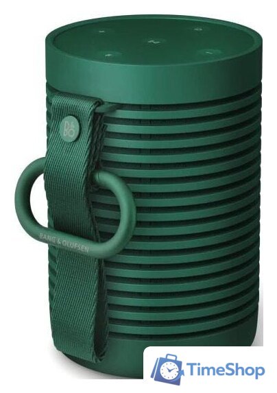 Беспроводная колонка Bang & Olufsen Beosound Explore (зеленый) - Изображение №3 — Интернет-магазин Time-Shop