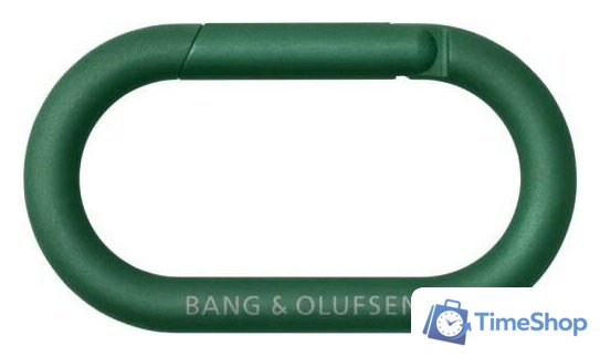 Беспроводная колонка Bang & Olufsen Beosound Explore (зеленый) - Изображение №8 — Интернет-магазин Time-Shop