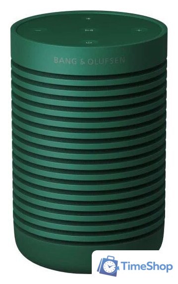 Беспроводная колонка Bang & Olufsen Beosound Explore (зеленый) - Изображение №1 — Интернет-магазин Time-Shop