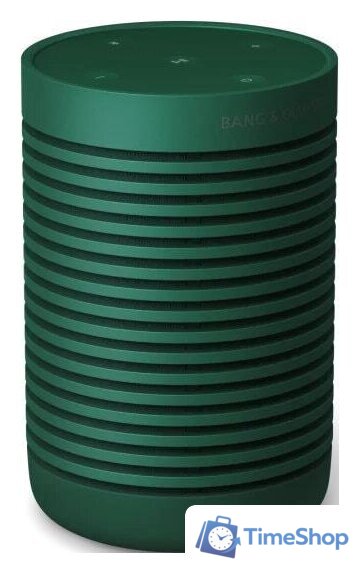 Беспроводная колонка Bang & Olufsen Beosound Explore (зеленый) - Изображение №2 — Интернет-магазин Time-Shop