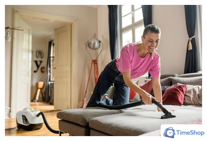 Пылесос Karcher DS 6 Plus 1.195-252.0 - Изображение №5 — Интернет-магазин Time-Shop