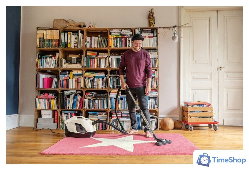 Пылесос Karcher DS 6 Plus 1.195-252.0 - Изображение №2 — Интернет-магазин Time-Shop