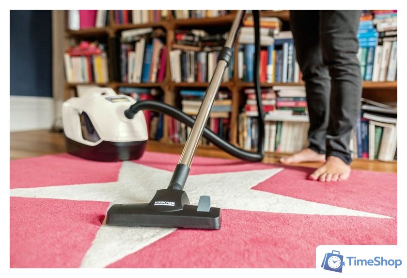 Пылесос Karcher DS 6 Plus 1.195-252.0 - Изображение №3 — Интернет-магазин Time-Shop