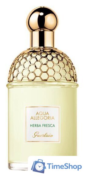 Туалетная вода Guerlain Aqua Allegoria Herba Fresca EdT (75 мл) - Изображение №1 — Интернет-магазин Time-Shop