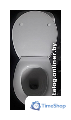 Сиденье для унитаза Roca Victoria Nord ZRU9302919 - Изображение №3 — Интернет-магазин Time-Shop