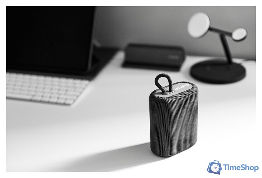 Беспроводная колонка Canyon BSP-4 (серый) - Изображение №19 — Интернет-магазин Time-Shop