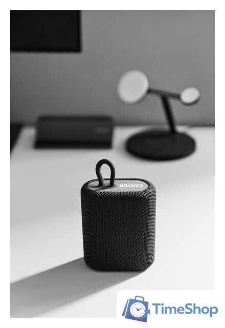 Беспроводная колонка Canyon BSP-4 (серый) - Изображение №17 — Интернет-магазин Time-Shop