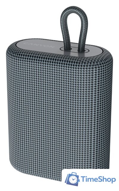 Беспроводная колонка Canyon BSP-4 (серый) - Изображение №1 — Интернет-магазин Time-Shop