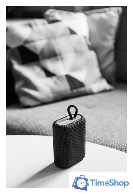 Беспроводная колонка Canyon BSP-4 (серый) - Изображение №27 — Интернет-магазин Time-Shop