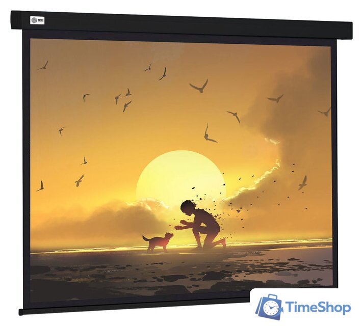 Проекционный экран CACTUS Wallscreen 150x150 CS-PSW-150X150-BK - Изображение №1 — Интернет-магазин Time-Shop