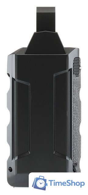 Беспроводная колонка Soundmax SM-PS5029B - Изображение №4 — Интернет-магазин Time-Shop