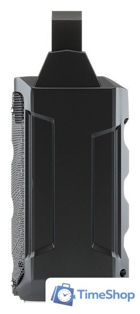 Беспроводная колонка Soundmax SM-PS5029B - Изображение №3 — Интернет-магазин Time-Shop