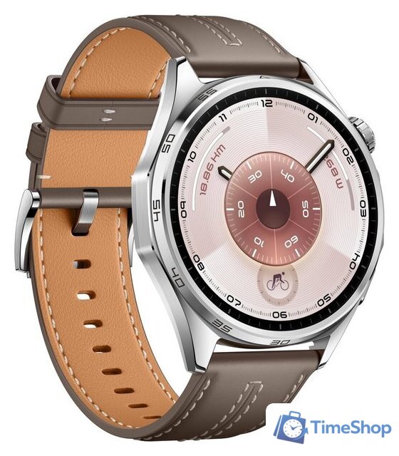 Умные часы Huawei Watch GT 6 46 мм (серебристый, с коричневым кожаным ремешком, международная версия) - Изображение №3 — Интернет-магазин Time-Shop