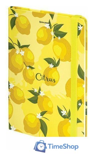 Ежедневник BRAUBERG Lemons 113727 - Изображение №1 — Интернет-магазин Time-Shop