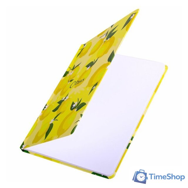 Ежедневник BRAUBERG Lemons 113727 - Изображение №6 — Интернет-магазин Time-Shop