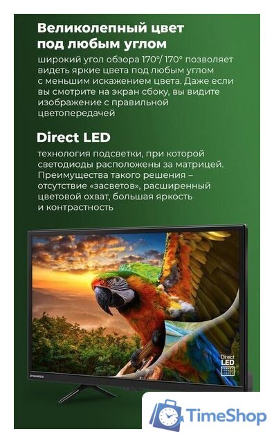 Телевизор MAUNFELD MLT24H01 - Изображение №5 — Интернет-магазин Time-Shop