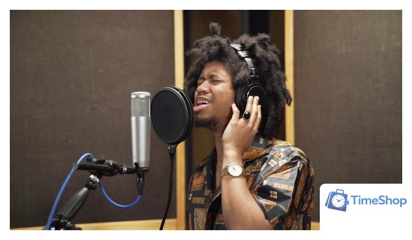 Проводной микрофон PreSonus PX-1 - Изображение №11 — Интернет-магазин Time-Shop