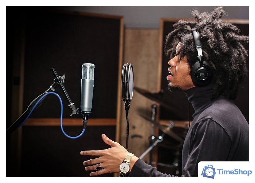 Проводной микрофон PreSonus PX-1 - Изображение №12 — Интернет-магазин Time-Shop