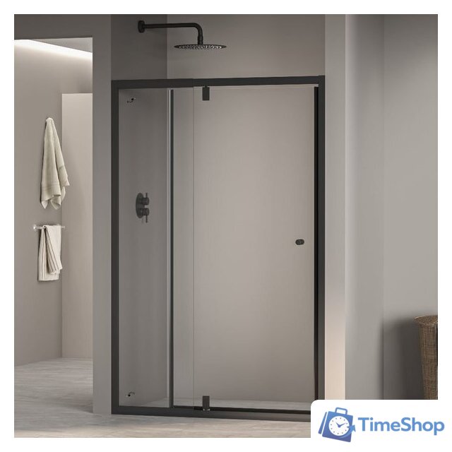 Душевая дверь RGW PA-02-B 41080200-14 100 (черный/прозрачное стекло) - Изображение №1 — Интернет-магазин Time-Shop