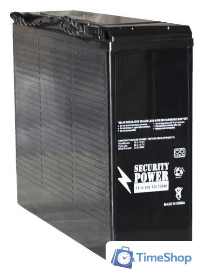 Аккумулятор для ИБП Security Power FT 12-100 (12В/100 А·ч) - Изображение №1 — Интернет-магазин Time-Shop