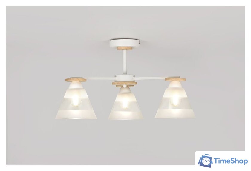 Люстра средней высоты Rivoli Theothila 9177-303 Б0068434 - Изображение №11 — Интернет-магазин Time-Shop