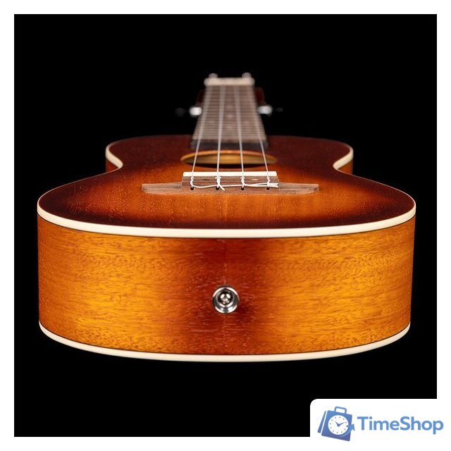 Укулеле Ortega Earth RUDAWN - Изображение №5 — Интернет-магазин Time-Shop