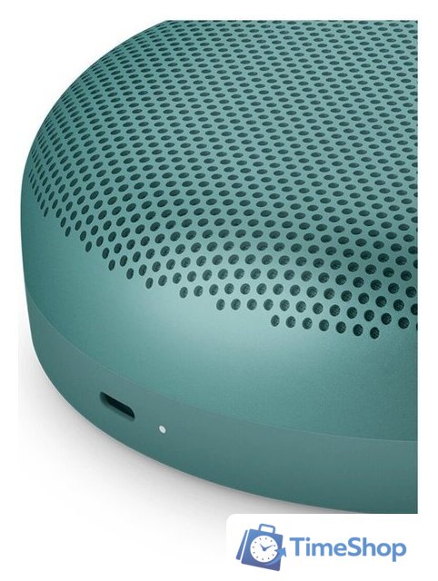 Беспроводная колонка Bang & Olufsen Beosound A1 3nd Gen (eucalyptus green) - Изображение №6 — Интернет-магазин Time-Shop