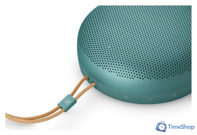 Беспроводная колонка Bang & Olufsen Beosound A1 3nd Gen (eucalyptus green) - Изображение №5 — Интернет-магазин Time-Shop