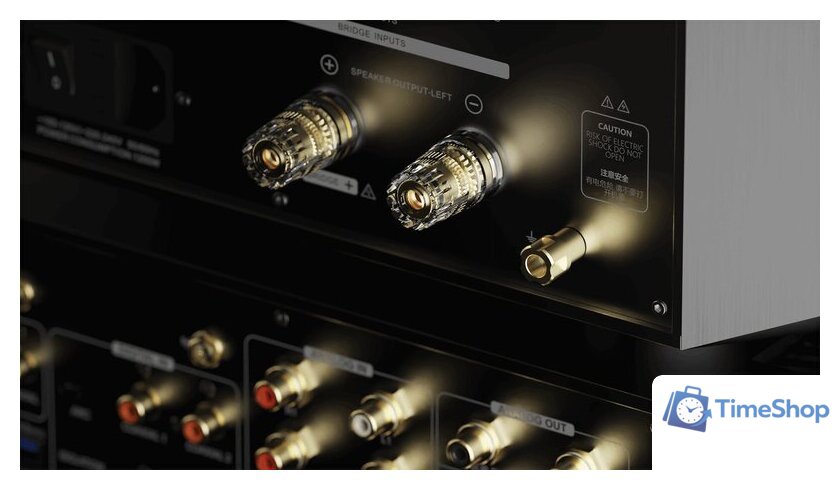 Усилитель мощности Eversolo AMP-F10 - Изображение №7 — Интернет-магазин Time-Shop