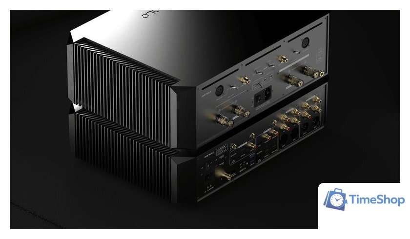 Усилитель мощности Eversolo AMP-F10 - Изображение №6 — Интернет-магазин Time-Shop