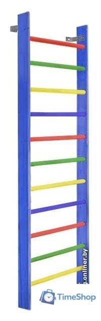 Шведская стенка (лестница) Dinamika ZSO-000058 цветная (массив сосны, боковина 110х35 мм) - Изображение №1 — Интернет-магазин Time-Shop