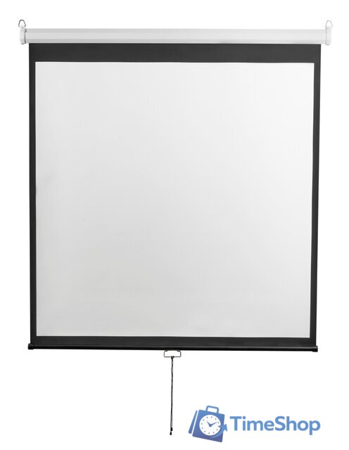 Проекционный экран Digis Optimal-D 206x159 DSOD-4303 - Изображение №1 — Интернет-магазин Time-Shop