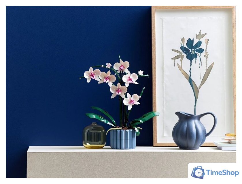 Конструктор LEGO Creator Expert 10311 Орхидея - Изображение №2 — Интернет-магазин Time-Shop