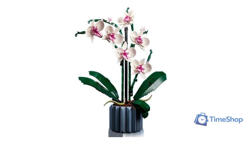 Конструктор LEGO Creator Expert 10311 Орхидея - Изображение №4 — Интернет-магазин Time-Shop