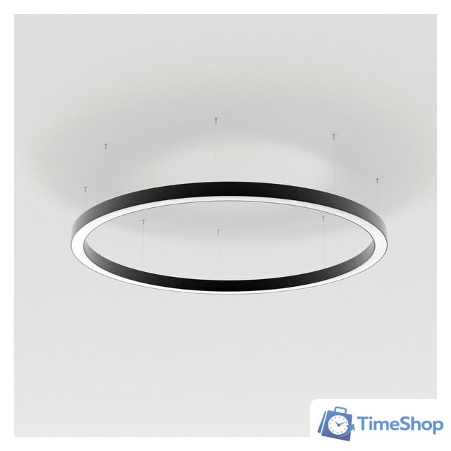 Подвесная люстра Arlight SP-LINE-HANG-ARC-O3535-D800-65W 034007(2) - Изображение №1 — Интернет-магазин Time-Shop
