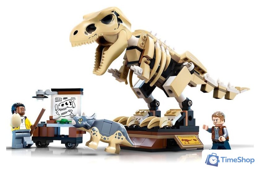 Конструктор LEGO Jurassic World 76940 Скелет тираннозавра на выставке - Изображение №5 — Интернет-магазин Time-Shop